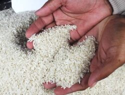 Beras Impor 250 Ton Masuk Sabang, Picu Ketegangan Pusat–Aceh