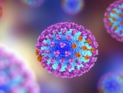 Kemenkes Temukan Flu Babi di Pedalaman Riau, 5 Anak Meninggal
