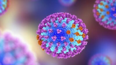 Kemenkes Temukan Flu Babi di Pedalaman Riau, 5 Anak Meninggal