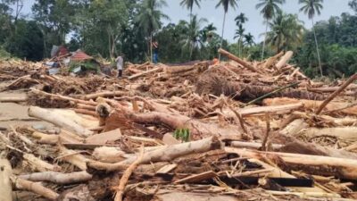 Viral Banjir Bandang Sumut Bawa Kayu Gelondongan, Kemenhut Bantah Terkait Illegal Logging