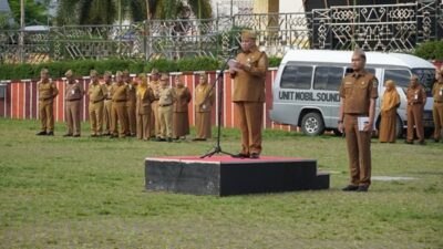 Dari Padi Sampai Panas Bumi, Ini Kekuatan Lampung yang Bikin Investor Ramai Masuk