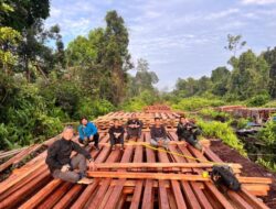 Polisi Temukan 300 Kubik Kayu Ilegal di Inhu, Dugaan Mafia Hutan Riau Makin Menguat