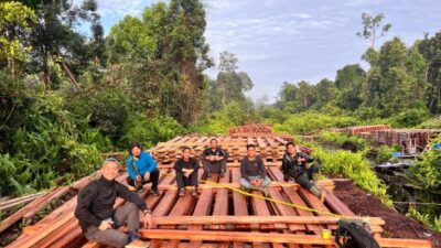 Ekosistem Hutan Terancam, KLH Bongkar Dampak Parah Illegal Logging di Inhu