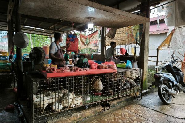 Harga Pangan di Pekanbaru Naik Jelang Akhir 2025, Ayam Tembus Rp37 Ribu per Kilogram