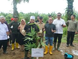 Pemprov Bengkulu Tertibkan Sawit di Bantaran Sungai, 49.280 Bibit Pohon Ditanam