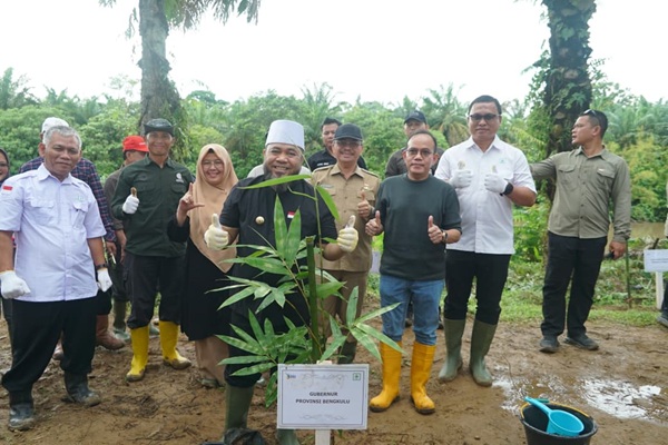 Pemprov Bengkulu Tertibkan Sawit di Bantaran Sungai, 49.280 Bibit Pohon Ditanam