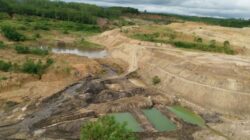Tak Direklamasi Perusahaan, Pemprov Bengkulu Ambil Alih Penghijauan Hutan Bekas Tambang