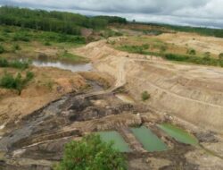 Tak Direklamasi Perusahaan, Pemprov Bengkulu Ambil Alih Penghijauan Hutan Bekas Tambang