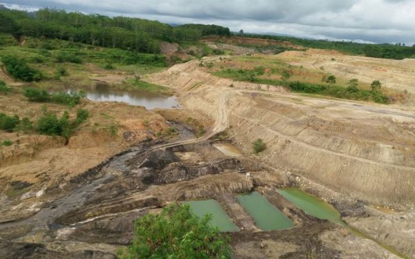 Tak Direklamasi Perusahaan, Pemprov Bengkulu Ambil Alih Penghijauan Hutan Bekas Tambang
