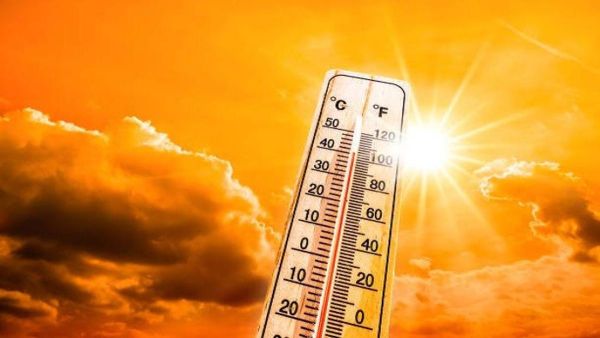 Sebaran Hotspot Sumatera Capai 433 Titik, Riau Masuk Daftar Wilayah Waspada