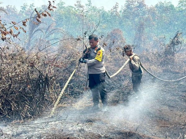 10 Daerah di Riau Dilanda Karhutla, Picu 200 Titik Panas