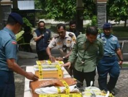 TNI AL Gagalkan Penyelundupan 445 Kulit Ular Piton di Pelabuhan Bakauheni