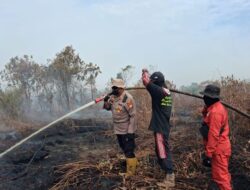 Karhutla Hanguskan 10 Hektare Lahan di Rupat Bengkalis, 43 Hotspot Terpantau Satelit