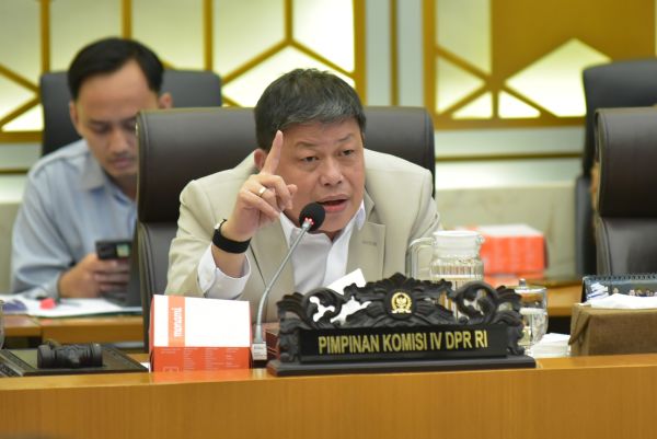 Kasus Gajah Sumatera Tewas Tanpa Kepala, DPR Minta Perlindungan Satwa Gunakan Teknologi