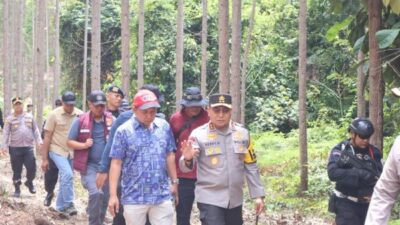 Kasus Pembunuhan Gajah Sumatera di Riau, Polisi Gunakan Investigasi Kejahatan Ilmiah Ungkap Pemburu