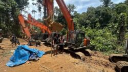 Enam Lubang Tambang Emas Ilegal Terbongkar di Sumut, 17 Orang Diamankan