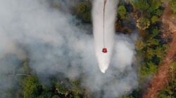 BPBD Catat 233 Hotspot di Riau, Terbanyak di Bengkalis