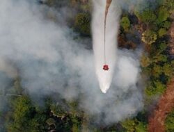 BPBD Catat 233 Hotspot di Riau, Terbanyak di Bengkalis