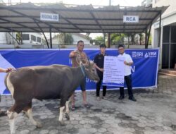 Idul Adha 2026, BRI Region 4 Palembang Salurkan 45 Hewan Kurban ke Sumsel, Jambi, dan Babel