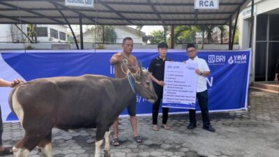 Idul Adha 2026, BRI Region 4 Palembang Salurkan 45 Hewan Kurban ke Sumsel, Jambi, dan Babel
