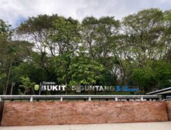 Mengenal Bukit Siguntang, Situs Bersejarah di Palembang
