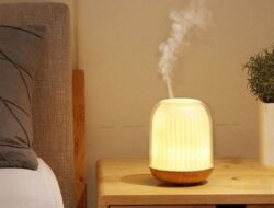 Tips Ampuh Bikin Rumah Tetap Sejuk di Tengah Cuaca Tak Menentu