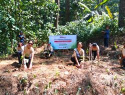Ubah Langkah Pelari Jadi 600 Pohon, Sharp Indonesia Selamatkan Elang Jawa