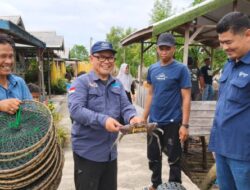 Hari Mangrove Sedunia 2026, Mengenal Rencana Perlindungan Ekosistem Mangrove Nasional 2026-2025