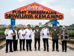 Dukung Penghijauan Nasional, Persemaian Sriwijaya Kemampo Siapkan Pasokan Bibit Berkualitas