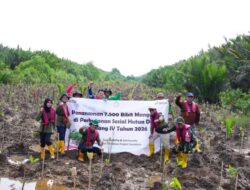 Jaga Keseimbangan Ekosistem! Kilang Plaju Buktikan Aktivitas Industri Tetap Berdampingan dengan Alam